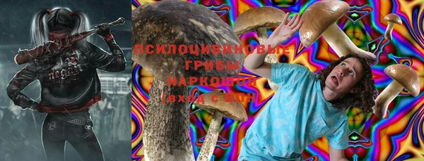 дурь Верхний Тагил