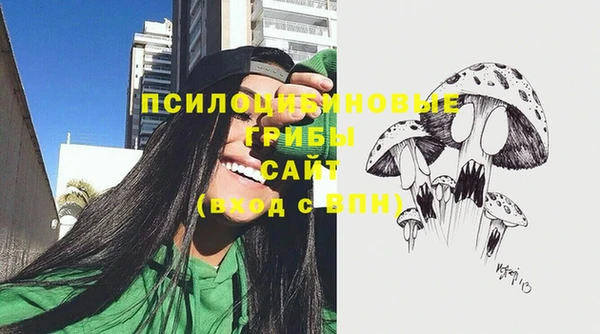 дурь Верхний Тагил
