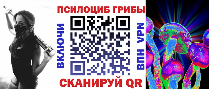 Псилоцибиновые грибы Psilocybine cubensis  Камешково 